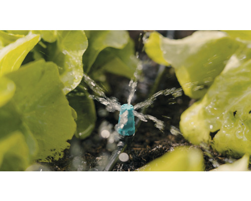 Zavlažovací systém s postrekovačom v prevádzke medzi rastlinami šalátu