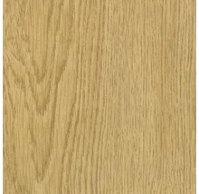 Podlahová lišta Neuhofer KU048L plastová 2400x38,5x15 mm dub-thumb-3 Podlahová lišta Neuhofer KU048L plastová 2400x38,5x15 mm dub-thumb-3
