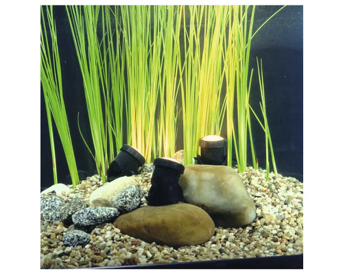 Akvarijná scéna s rastlinami, kameňmi a podvodným osvetlením