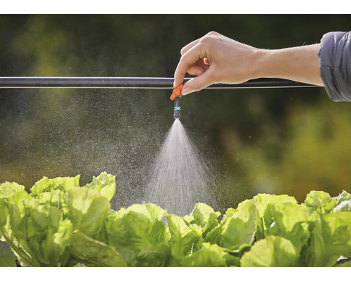 Zavlažovanie šalátu zavlažovacím systémom