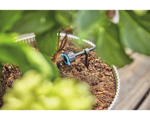 Kvapková závlaha v prevádzke medzi rastlinami