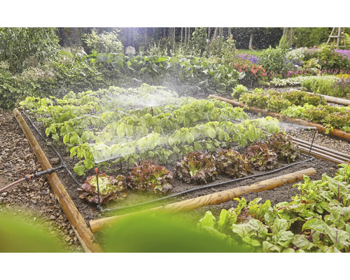 Zavlažovací systém v zeleninovej záhrade so šalátom a ďalšími rastlinami.