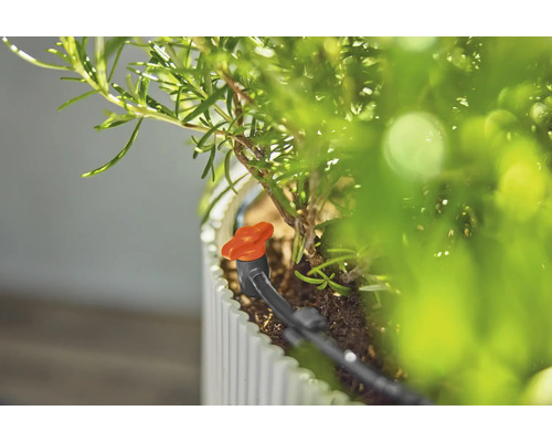 Systém kvapkovej závlahy pre rastliny v kvetináči