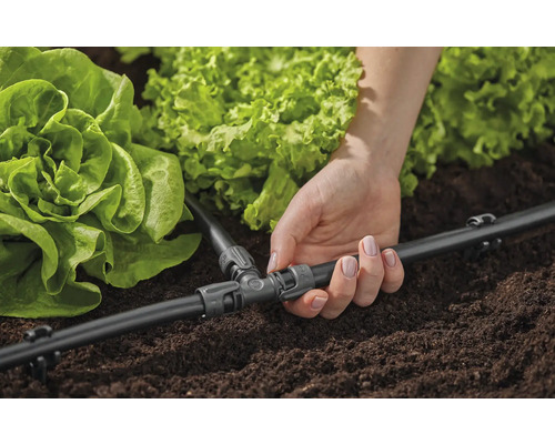 Detailný záber ženy inštalujúcej zavlažovací systém pre šaláty v záhrade