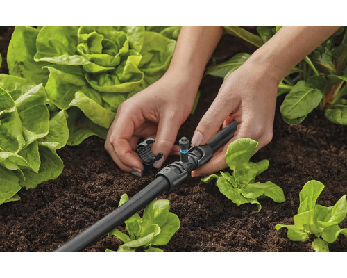 Inštalácia kvapkovej závlahy do záhradného záhona na cielené zavlažovanie rastlín