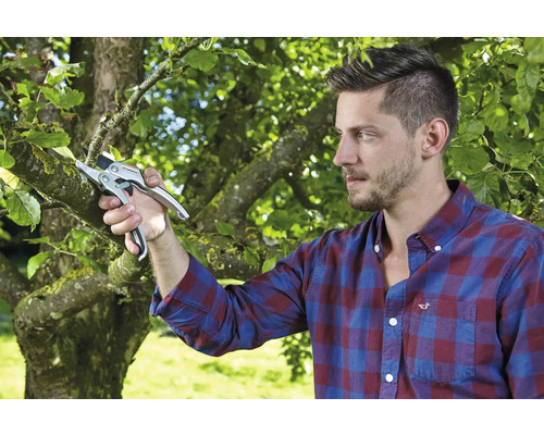 Muž strihá konáre záhradnými nožnicami.