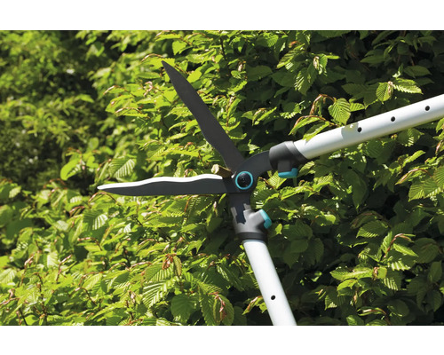 Nožnice na živý plot s teleskopickou rukoväťou pri strihaní živého plota