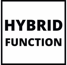 Hybridná funkcia
