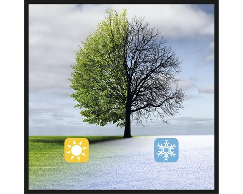 Obrázok znázorňujúci ročné obdobia jari a zimy so stromom, slnkom a snehovou vločkou