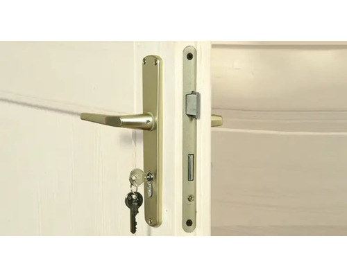 Dvere so zlatým kovaním a kľúčom