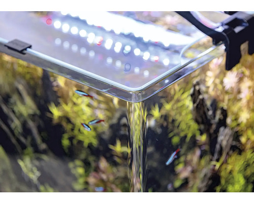 Detailný záber osadeného akvária s rybami a osvetlením