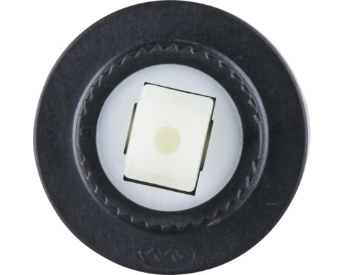 LED žiarovka s čiernou päticou