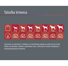 Granule pre psov Finevo Adult Dog L kuracie 3 kg-thumb-3 Granule pre psov Finevo Adult Dog L kuracie 3 kg-thumb-3