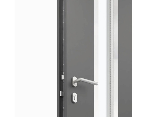 Detailný pohľad na sivé dvere s kovaním a bezpečnostným zámkom