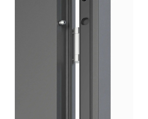 Detail dverí so strieborným závesom a zámkom