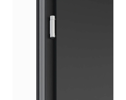 Detail dverí s pántom