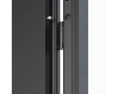 Detail dverí s pántom a uzamykacím kolíkom