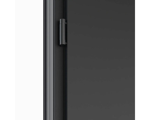 Detail dverí s kovaním