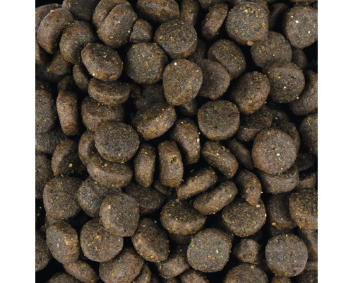 Detailný pohľad na suché krmivo pre psy