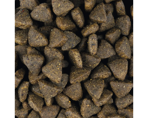 Detailný záber suchého krmiva pre psov