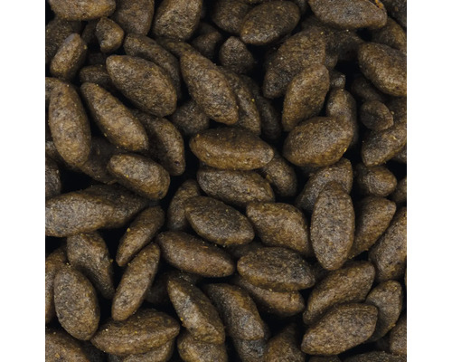 Detail suchého krmiva pre psov