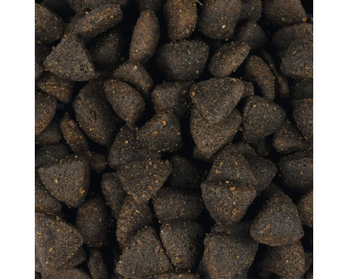 Detail suchého krmiva pre psov