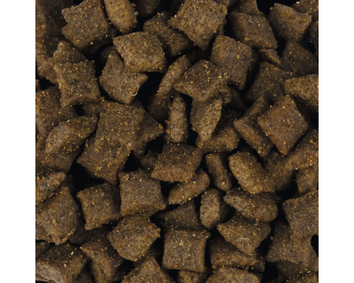 Detailný záber suchého krmiva pre psov