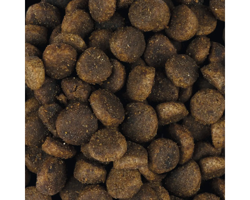 Detailný pohľad na suché krmivo pre psov