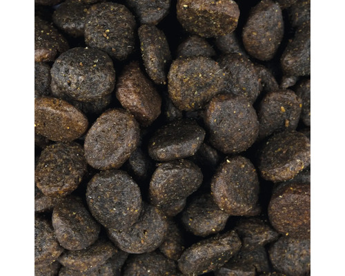 Detailný záber suchého krmiva pre psy