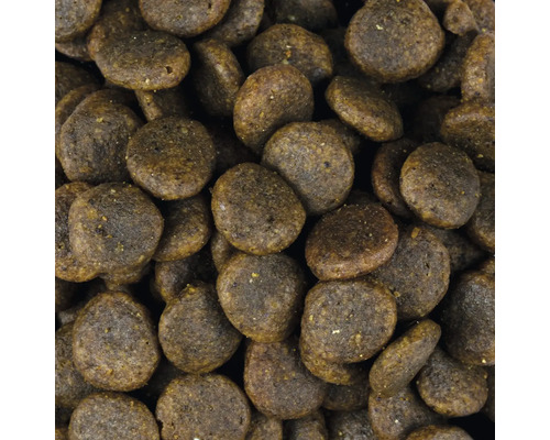 Detailný záber suchého krmiva pre psy