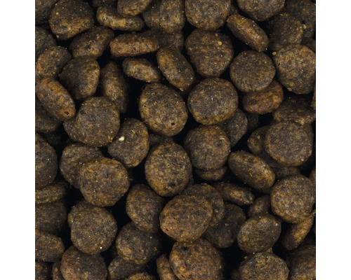 Detailný záber suchého krmiva pre psov