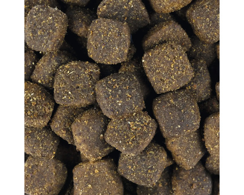 Detailný záber suchého krmiva pre psov