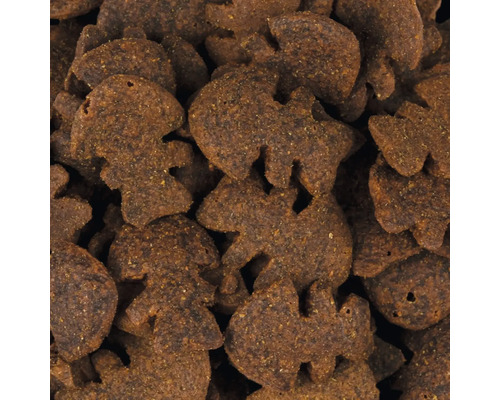 Detailný pohľad na suché krmivo v tvare ježka