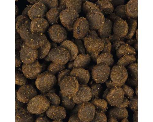 Detail suchého krmiva pre psov