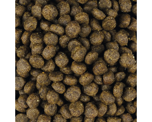 Detailný záber suchého krmiva pre zvieratá