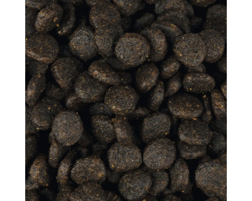 Detailný záber suchého krmiva pre psy