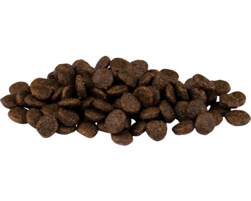 Kopa suchého krmiva pre psov