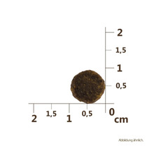 Granule pre mačky Carnilove Cat Grain Free Carp&Trout 2 kg-thumb-3
