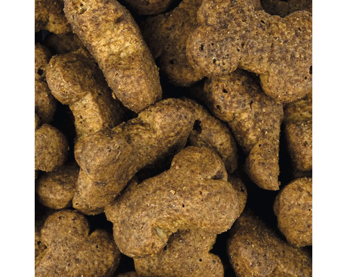 Detailný pohľad na psie krmivo v tvare kostí