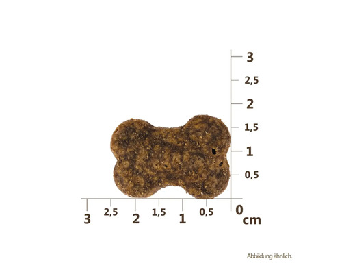 Sušienka pre psy v tvare kosti s udaním veľkosti v centimetroch