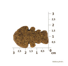 Maškrta pre psov Carnilove Dog Crunchy Snack Salmon 200 g-thumb-4