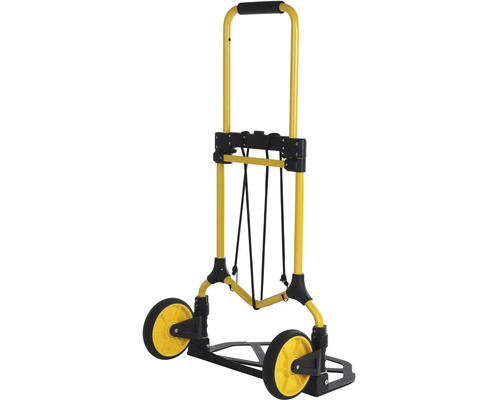 Žltý a čierny rudel