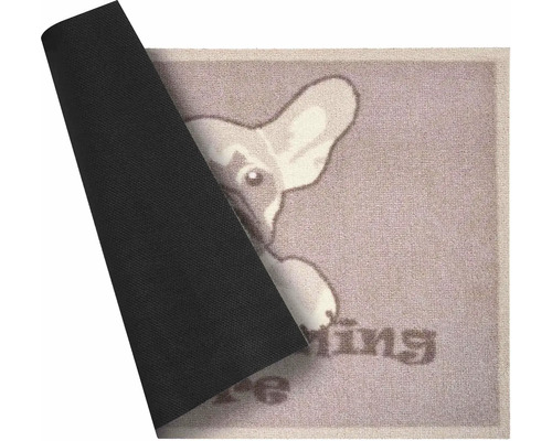 Rohožka so psím motívom a protišmykovou spodnou stranou