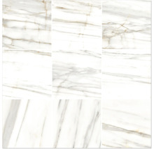 Dlažba Obklad imitácia mramoru LUCCA Bianco Gold lesklá 60x60 cm