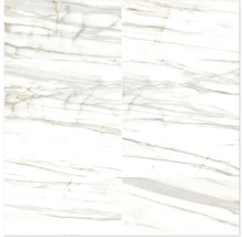Dlažba Obklad imitácia mramoru LUCCA Bianco Gold lesklá 60x120 cm