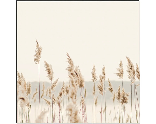 Dekoratívny nástenný obraz s motívom trstiny do obývacích izieb
