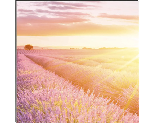 Dekoratívne nástenné umenie s levanduľovým poľom pri východe slnka