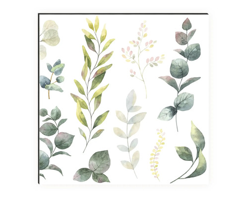 Ilustrácia rôznych listov a vetiev