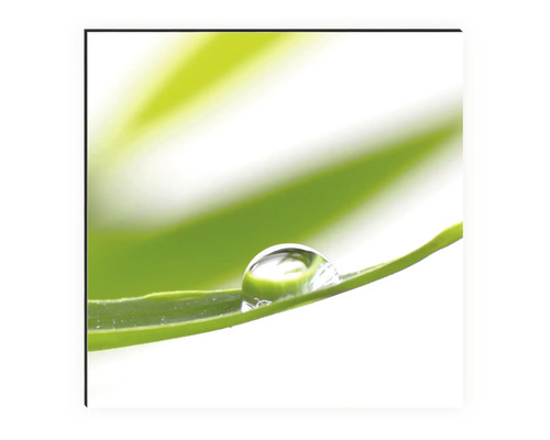 Dekoratívny nástenný obraz s kvapkou vody na liste