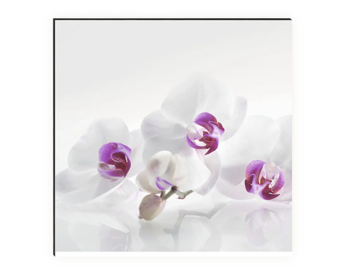 Dekoratívny nástenný obraz s motívom orchideí